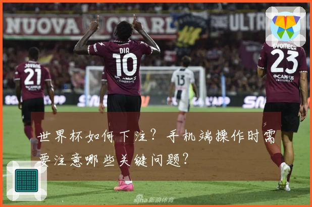 世界杯如何下注？手机端操作时需要注意哪些关键问题？