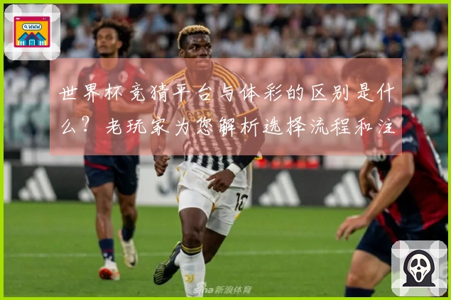 世界杯竞猜平台与体彩的区别是什么？老玩家为您解析选择流程和注意事项