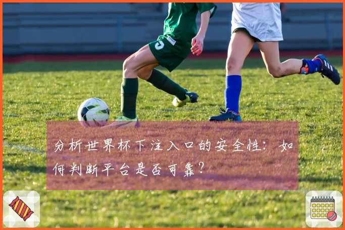 分析世界杯下注入口的安全性：如何判断平台是否可靠？