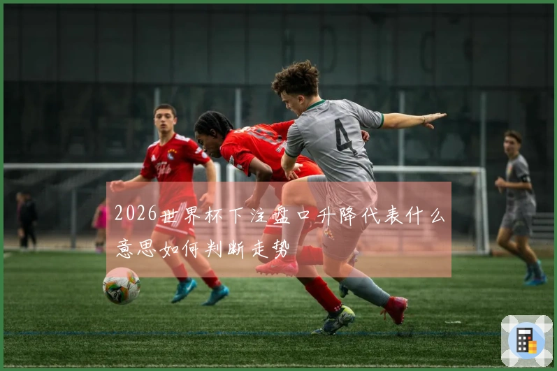2026世界杯下注盘口升降代表什么意思如何判断走势