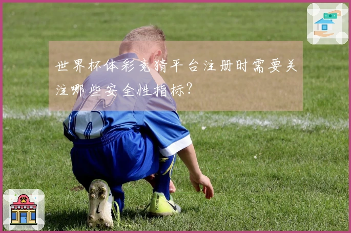 世界杯体彩竞猜平台注册时需要关注哪些安全性指标？