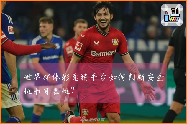 世界杯体彩竞猜平台如何判断安全性和可靠性？