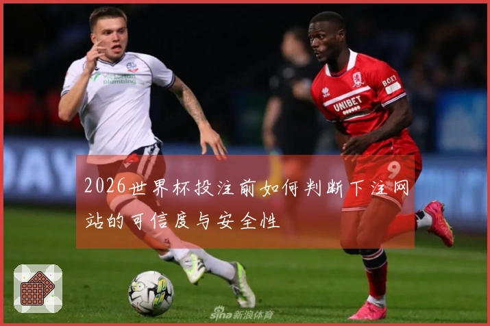 2026世界杯投注前如何判断下注网站的可信度与安全性