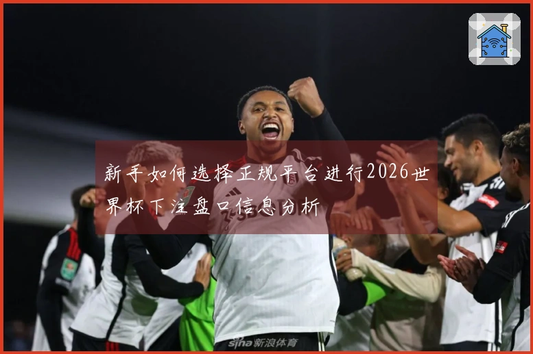 新手如何选择正规平台进行2026世界杯下注盘口信息分析