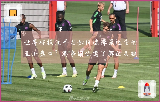 世界杯投注平台如何选择最适合的亚洲盘口？赛事前你需了解的关键要素