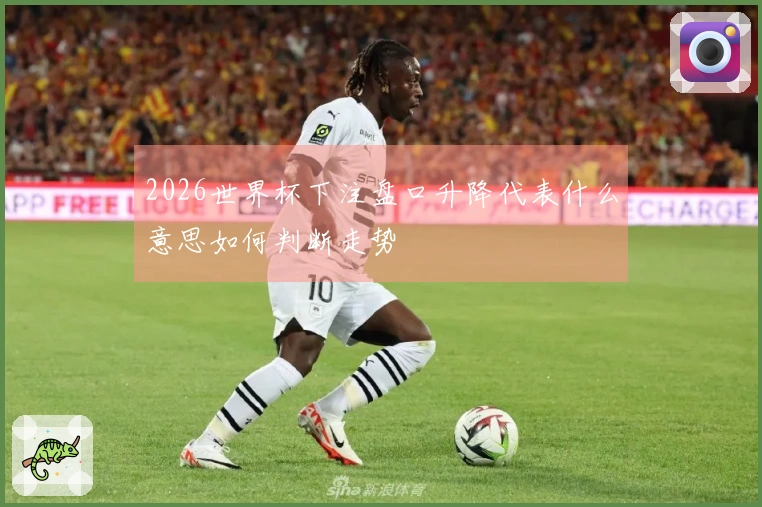 2026世界杯下注盘口升降代表什么意思如何判断走势