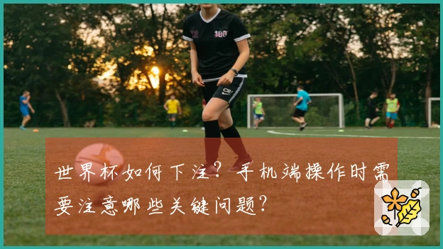 世界杯如何下注？手机端操作时需要注意哪些关键问题？