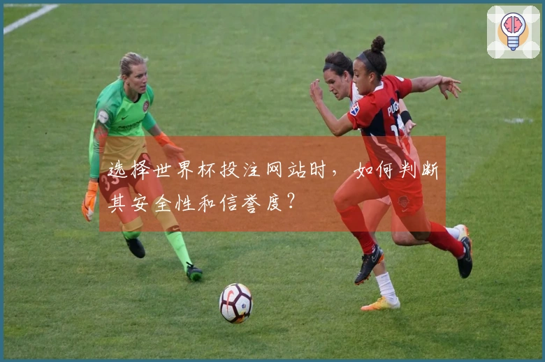 选择世界杯投注网站时，如何判断其安全性和信誉度？