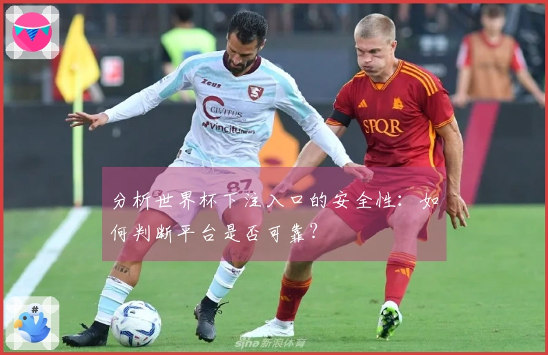 分析世界杯下注入口的安全性：如何判断平台是否可靠？