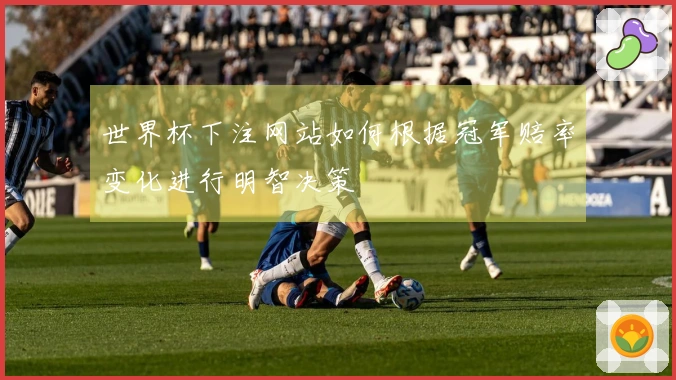 世界杯下注网站如何根据冠军赔率变化进行明智决策