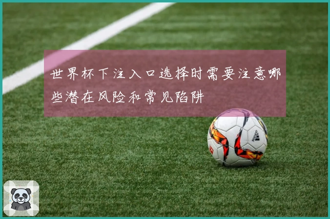 世界杯下注入口选择时需要注意哪些潜在风险和常见陷阱