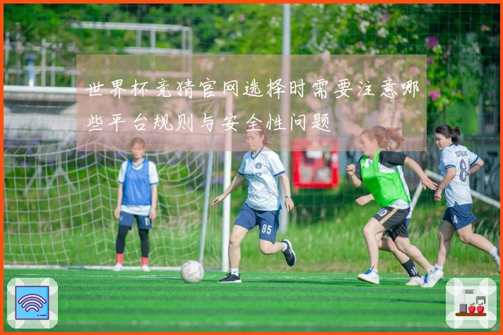 世界杯竞猜官网选择时需要注意哪些平台规则与安全性问题