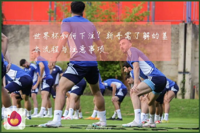 世界杯如何下注？新手需了解的基本流程与注意事项