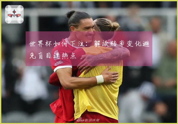 世界杯如何下注：解读赔率变化避免盲目追热点