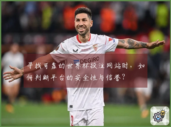 寻找可靠的世界杯投注网站时，如何判断平台的安全性与信誉？