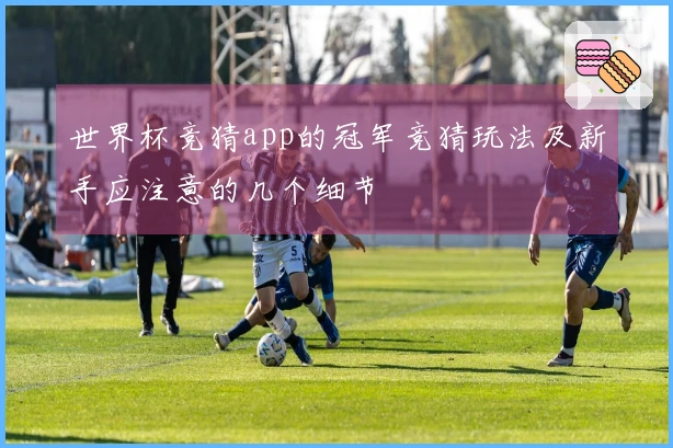 世界杯竞猜app的冠军竞猜玩法及新手应注意的几个细节