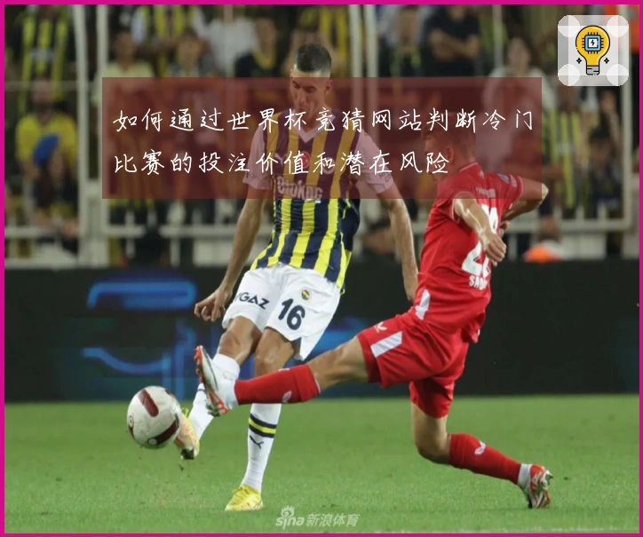 如何通过世界杯竞猜网站判断冷门比赛的投注价值和潜在风险