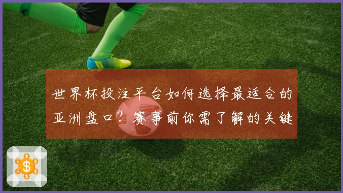 世界杯投注平台如何选择最适合的亚洲盘口？赛事前你需了解的关键要素