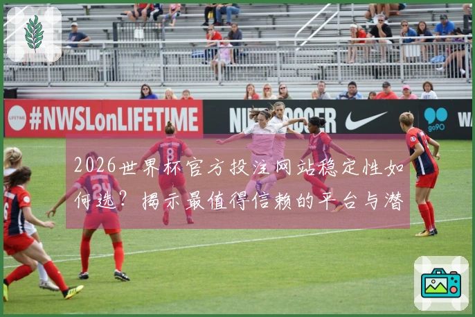 2026世界杯官方投注网站稳定性如何选？揭示最值得信赖的平台与潜在风险
