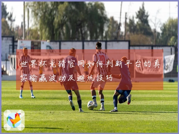 世界杯竞猜官网如何判断平台的真实输赢波动及避坑技巧