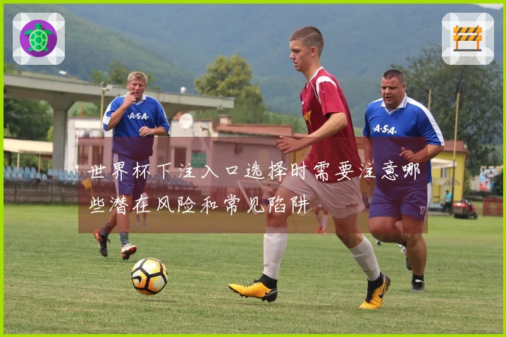 世界杯下注入口选择时需要注意哪些潜在风险和常见陷阱