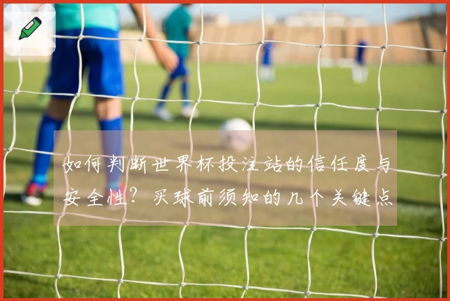 如何判断世界杯投注站的信任度与安全性？买球前须知的几个关键点